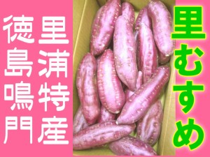 徳島鳴門里浦特産 なると金時 里むすめ 高糖度薩摩芋 サツマイモ 5kg