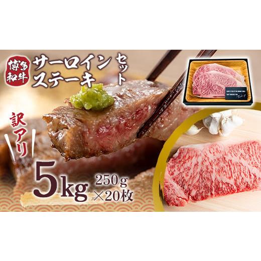 ふるさと納税 福岡県 宇美町 訳アリ！博多和牛サーロインステーキセット 5kg（250g×20枚）　DX034