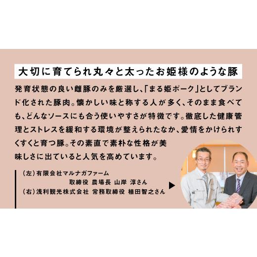 ふるさと納税 島根県 江津市 まる姫ポーク 粗ミンチ 3kg AK-34