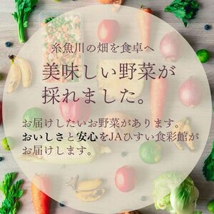 直売所からお届け！旬の野菜セット（8～10品詰め合わせ）新鮮な野菜直送便