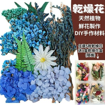 【A-ONE】乾燥花材盒 藍色療癒 不凋花 永生花 花材 DIY新手包 拍攝 道具 不凋花 乾燥花 永生花材 C13