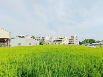 管容承辦底價超甜~西屯最後一塊大面積農地節稅聖品｜台中市西屯區協成段