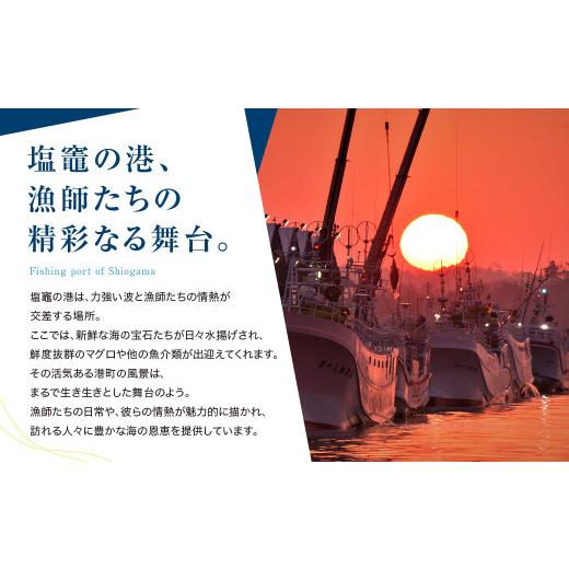 ふるさと納税 宮城県 塩竈市 うす塩銀鮭切落し（骨取り）　600g×6パック＋300g／計3.9kg　