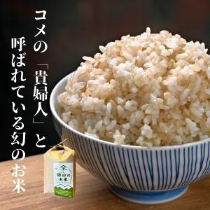 ふるさと納税 ササニシキの親　農薬不使用のササシグレ「郷山のお米」10kg（5kg×2袋）（玄米） 秋田県にかほ市