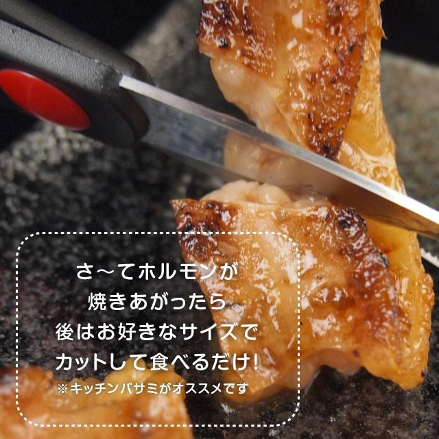 ロングカット国産牛小腸！肉厚プリ旨 味噌漬ホルモン 500g 約2-3人前 焼き肉 焼肉 BBQ