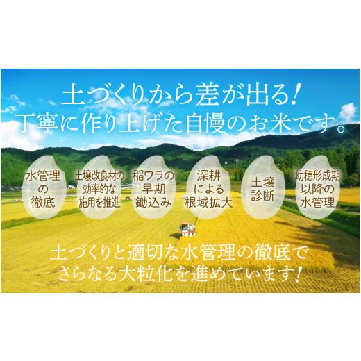 ふるさと納税 福井県 越前町 無洗米 定期便≪12ヶ月連続お届け≫いちほまれ 10kg × 12回（計120kg）特A通算5回！令和5年 福井県産【お米 計120キロ …