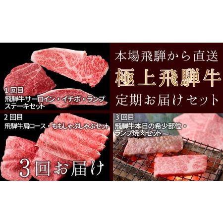 ふるさと納税 本場！飛騨直送！！極上飛騨牛セット　焼肉・しゃぶしゃぶ・ステーキ】 岐阜県下呂市