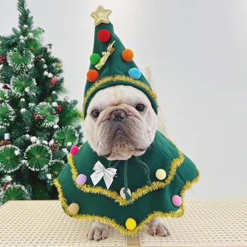 法斗衣服寵物圣誕圍脖帽子節日圍巾斗牛巴哥雪納瑞柴犬披風口水巾