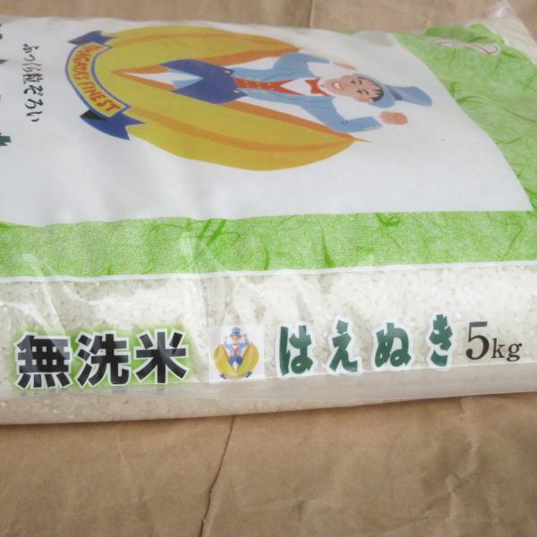 お米 5kg 無洗米 はえぬき 白米 山形県 庄内 5kg×1袋 5年度産 新米