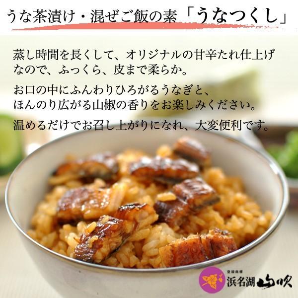 国産うなぎ長蒲焼き2本 ひつまぶしの素詰め合わせ 送料無料