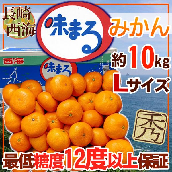 長崎県産　味まるみかん　L　約10kg　青秀