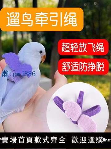 【可打統編 超低價】小鳥牽引繩外出超輕玄鳳鸚鵡放飛繩牡丹鳥用背帶遛鳥神器用品玩具