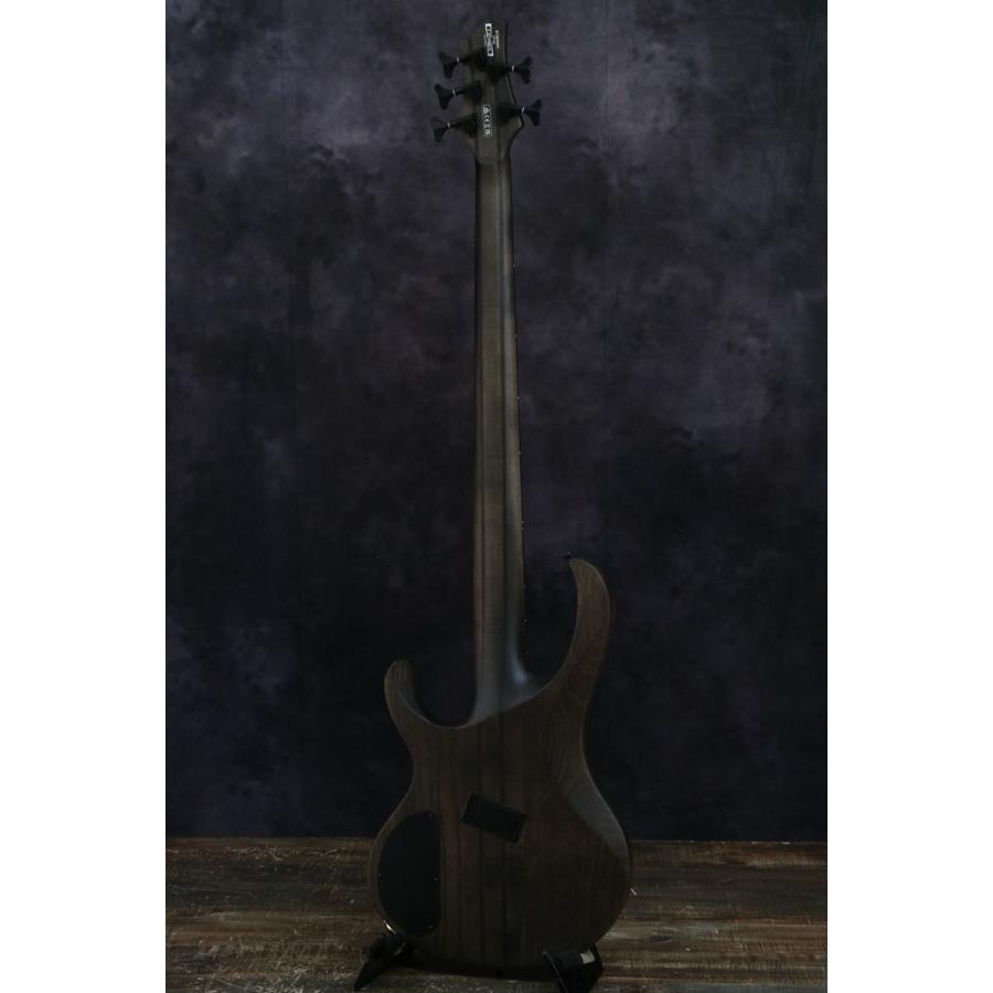 Ibanez Bass Workshop BTB805MS-TGF