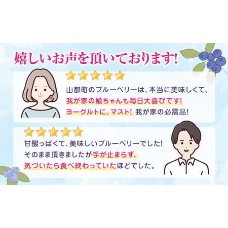 ふるさと納税 冷凍ブルーベリー 計1.2kg 400g × 3パック 熊本県産ブルーベリー 山都町産ブルーベリー ブルーベリー フ.. 熊本県山都町