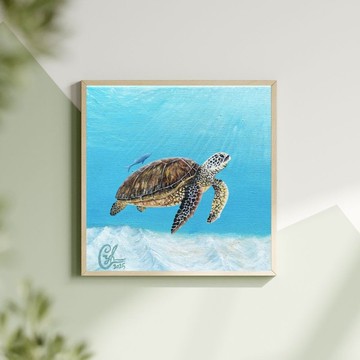 和我一起 迷你海龜1　With Me Mini Sea Turtle1