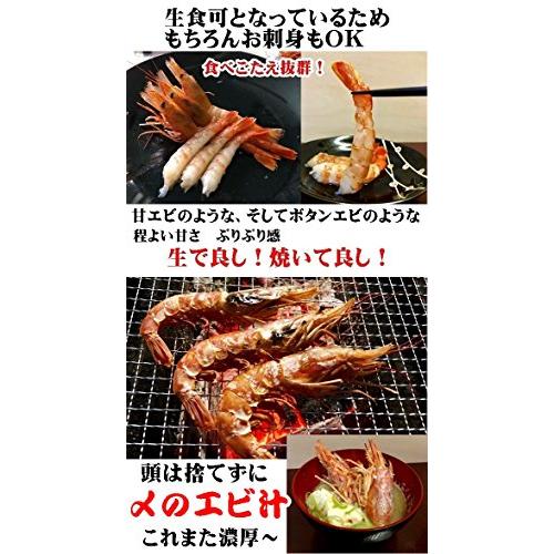 海鮮バーベキュー ホタテ・特大赤エビセット 2種20品 冷凍 片貝ホタテ10枚 天然特大赤エビ10尾