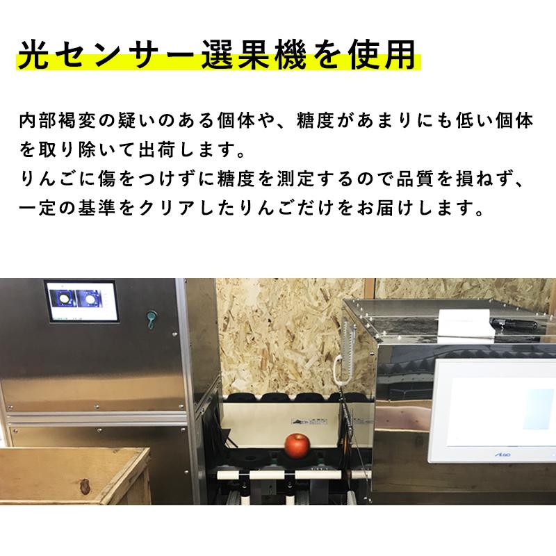 送料無料 青森県産 訳あり サンふじ ご家庭用約10kg 人気の訳ありリンゴ 家庭用 青森 青森産 訳あり サンふじ りんご 林檎 ふじ ks