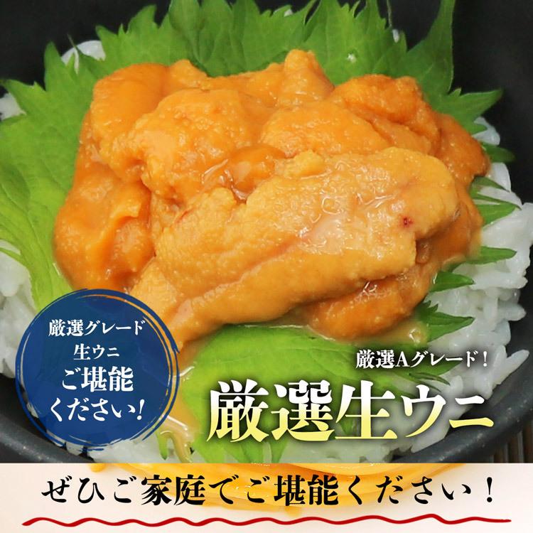 うに 無添加生うに 100g×3パック 究極Aグレード 生ウニ みょうばん不使用 完全無添加 お刺身 送料無料 優良配送 お歳暮 ギフト 10%クーポン