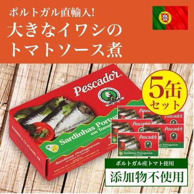 大きなイワシのトマトソース煮125g 5個セット