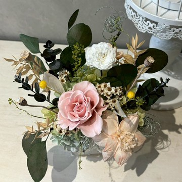 永生盆花 情人節 開幕送禮 自然色系