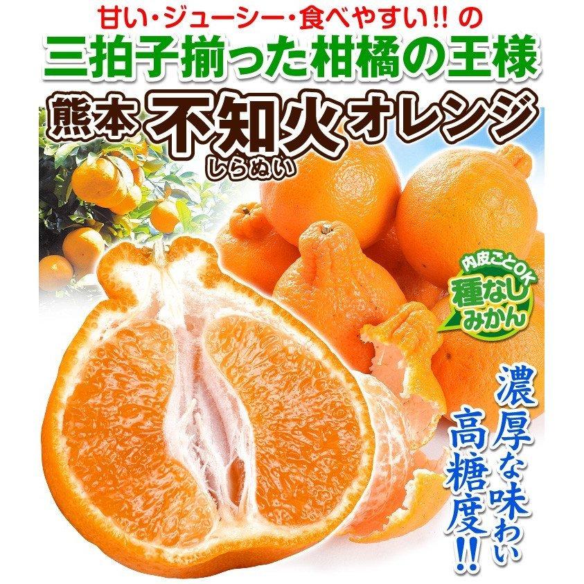 みかん 10kg 不知火オレンジ 熊本産 ご家庭用 送料無料 食品