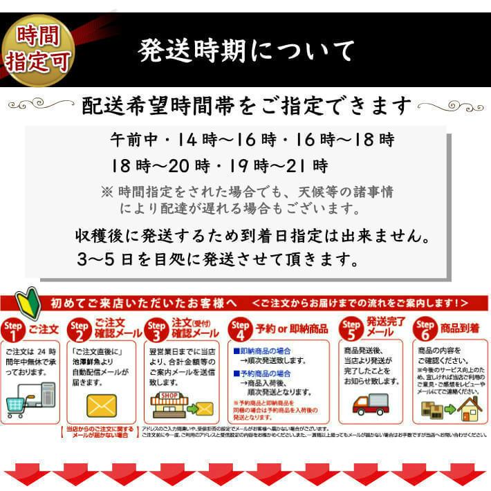 10月下旬発送 高知県産 減農薬 温州みかん 優品 3kg 石灰質の土壌で育てた蜜柑