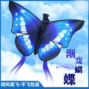 2025濰坊永健新款戶外漸變蝴蝶風箏兒童成人微風易飛公園地攤風箏 鑫弘-戶外運動