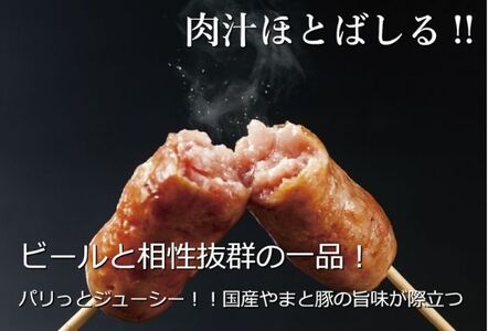 居酒屋天狗　大満足肉汁ソーセージ　ふるさと納税限定大容量セット　計96本