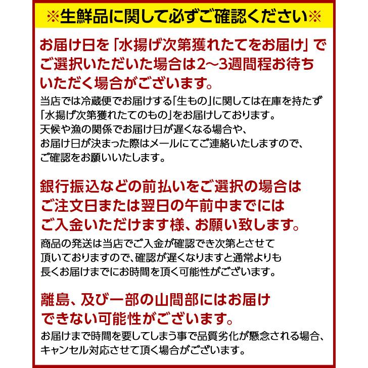 12月17〜18日お届け　ウニ うに 生うに 雲丹 島の人 北方四島産 生エゾバフンウニ 80g 塩水パック 無添加 塩水 バフンウニ