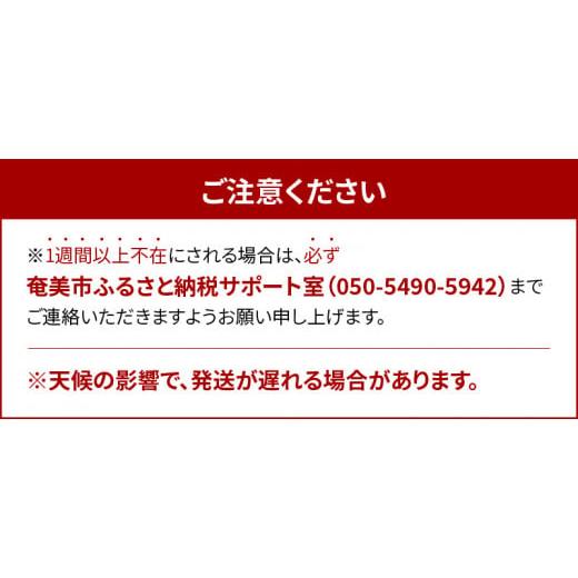 ふるさと納税 鹿児島県 奄美市 奄美完熟マンゴー　約1kg（2〜4玉詰）- 濃厚 完熟 奄美大島 産地直送 国産 トロピカル フルー…