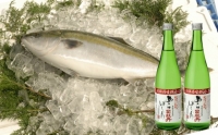 鮮魚・日本酒（幻の酒）定期便