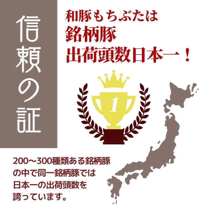 豚肉 ステーキ 和豚 もちぶた ロース厚切り 200g 4枚 送料無料 ポーク ステーキ 上ロース 国産 冷凍 豚肉 美味しい 焼肉 安心 新潟県 料理 豚 生