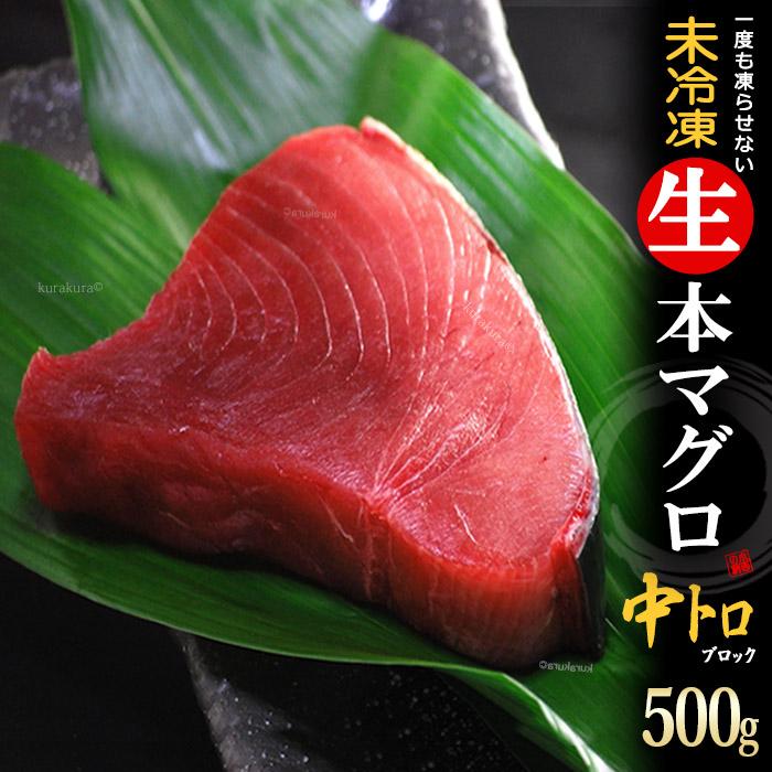 生本マグロ 中トロ ブロック (約500g) 国産 (主に 鹿児島産 長崎産 高知産) 蓄養 生まぐろ 生マグロ 生鮪 中トロ 中とろ 生本まぐろ 本まぐろ 鮪 まぐろ マグロ