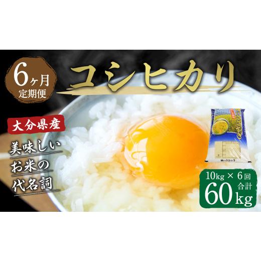 ふるさと納税 大分県 竹田市 大分県産 コシヒカリ 10kg×6回 計60kg 精米 お米 こしひかり