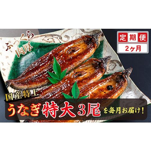 ふるさと納税 福井県 越前市 国産！特上うなぎのかば焼き 約250g × 3尾 × 2回お届け （毎月お届け）