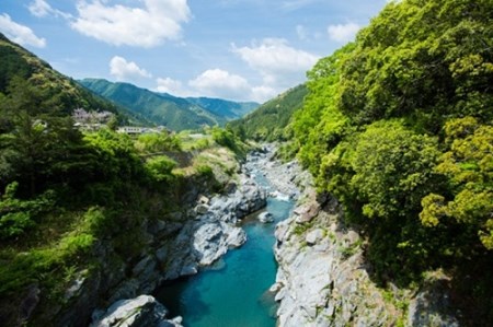 こしひかり　精米　20kg／積木商店　お米　白米　米　こめ　ご飯　おいしいお米　三重県　大台町