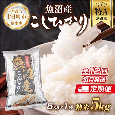 ふるさと納税 十日町市 魚沼産 コシヒカリ 5kg 精米  (美味しいお米の炊き方ガイド付) 全12回