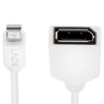 LINDY 林帝 mini-DisplayPort 公 to DisplayPort 母 轉接線  1條  20cm