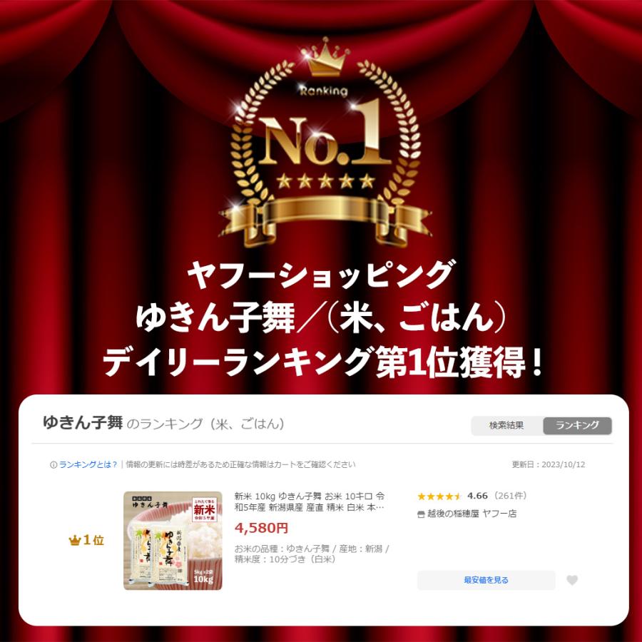 新米 10kg ゆきん子舞 お米 10キロ 令和5年産 新潟県産 産直 精米 白米 送料無料