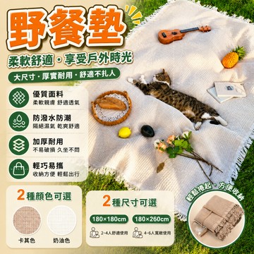 隔日達🍑野餐墊 野餐布 戶外露營 加厚雙面 桌布 網紅拍照墊子 野餐墊 編織桌巾 餐桌巾 餐桌布 沙發布