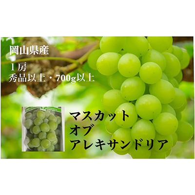 ふるさと納税 玉野市 岡山県産　マスカットオブアレキサンドリア1房(700g以上・秀品以上)化粧箱入り