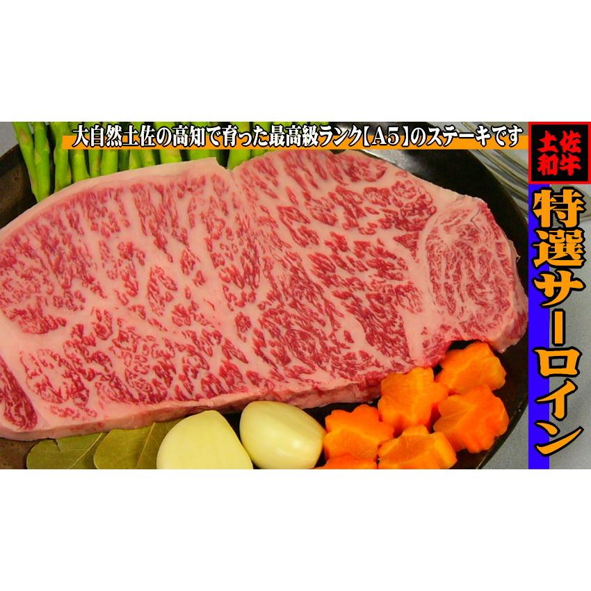 土佐和牛 最高級 A5 特選 サーロインステーキ 300g ステーキ肉 冷凍 国産 牛肉 ブランド牛 お取り寄せグルメ 食材