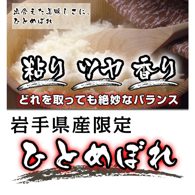 新米 令和5年産 ひとめぼれ 10kg お米 白米 精米 岩手県産 送料無料