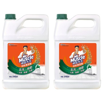 Mr Muscle 威猛先生 地板清潔劑 森林芬多精  3.785L  2桶