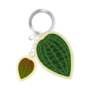 種籽設計《電光寶石蘭》造型一卡通 代銷