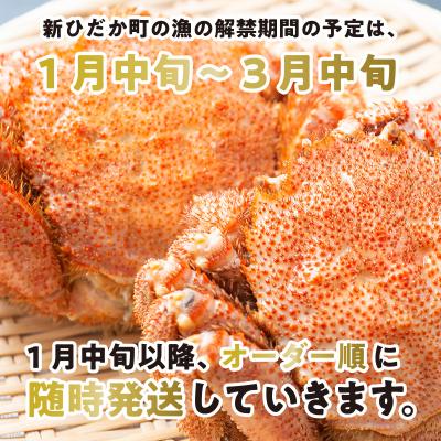 ふるさと納税 新ひだか町  北海道産浜ゆで毛ガニ 2尾×3回