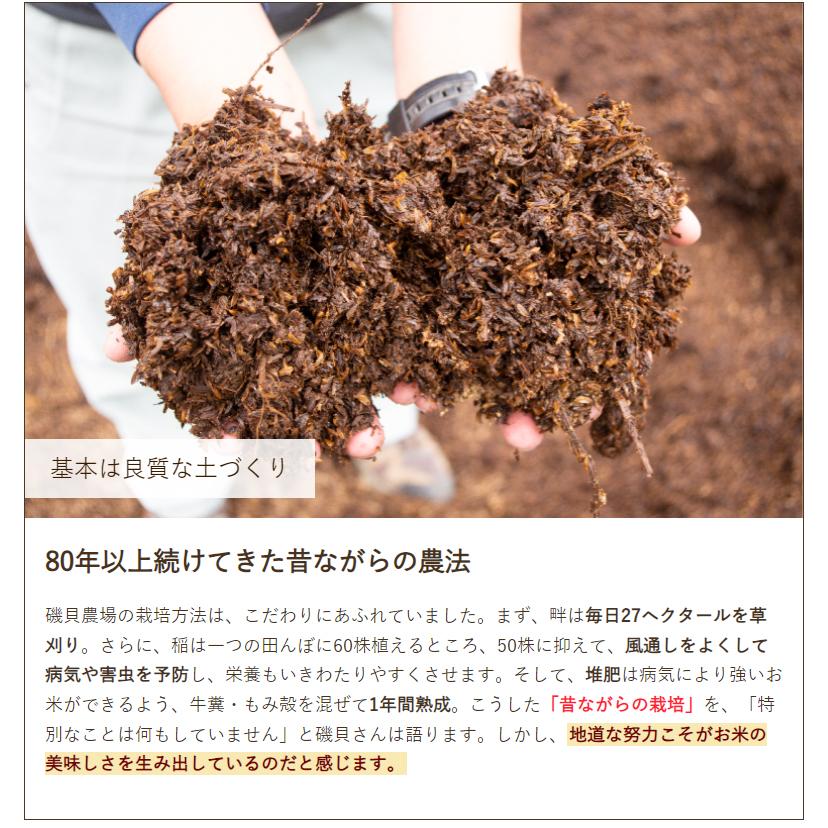 特別栽培米（減農薬・減化学肥料）新潟産コシヒカリ「ひすいの雫」精米10kg（5kg×2袋）磯貝農場 料無料