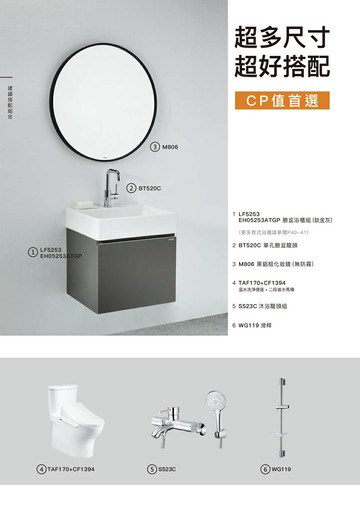 凱撒衛浴 CAESAR 組合D不含安裝 LF5253臉盆浴櫃組(三色)+單孔臉盆龍頭+化妝鏡+馬桶免治+沐浴龍頭組+滑桿