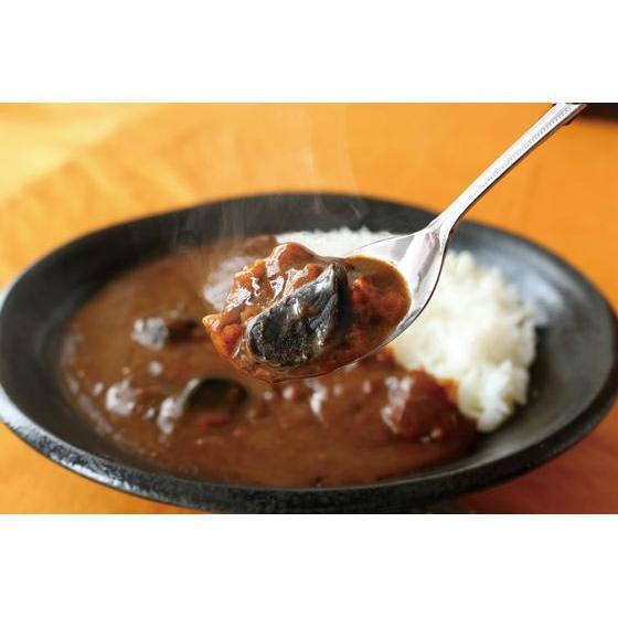 熟成黒にんにくカレー　自然共生