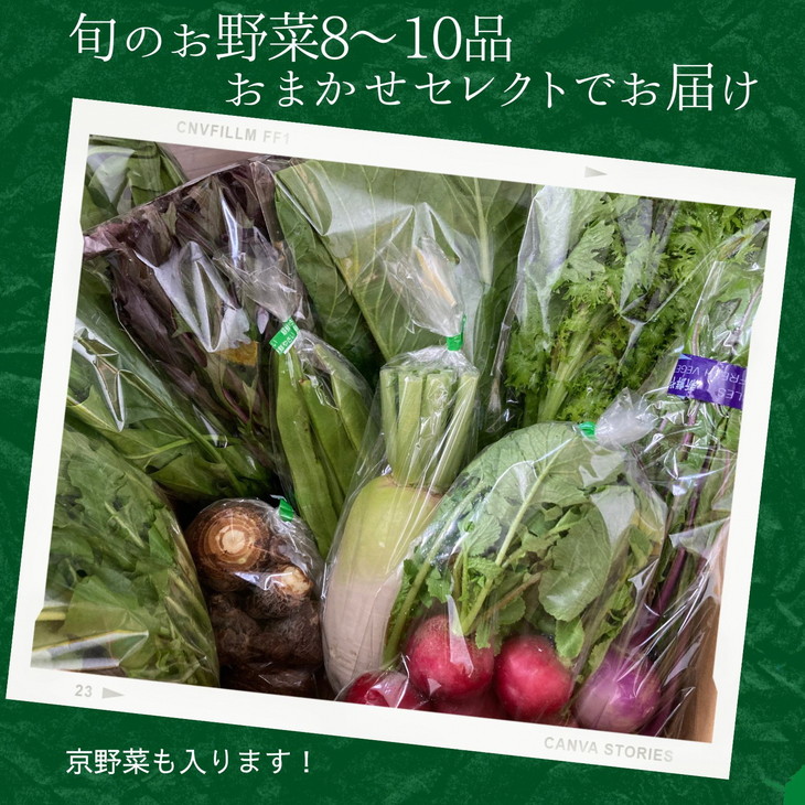 旬の味！お野菜 詰め合わせBOX 8～10品目×6回（栽培期間中 農薬・化学肥料不使用） 京都 亀岡 京野菜 農家より直送